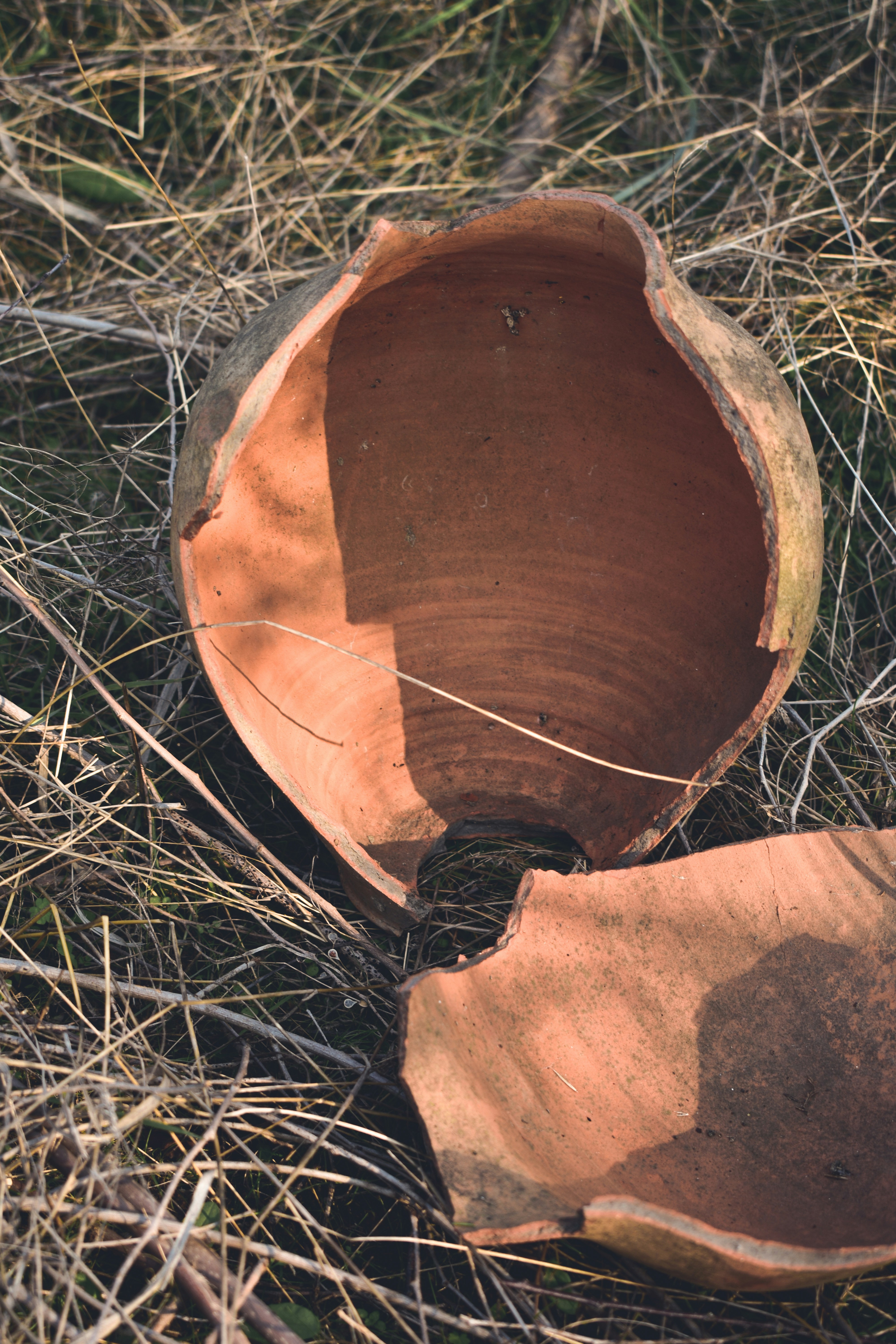 Picture of a broken terracotta pot